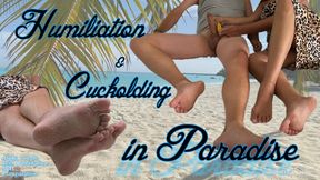 HUMILIATION AND CUCKOLDING IN PARADISE