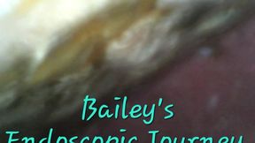 Bailey Endoscopic Journey