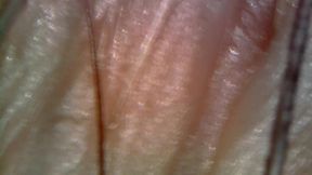 microscope or endoscope? sensational farts in a vore edition inside my ass 4k