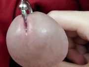 Jerking Off my Prince Albert Cock