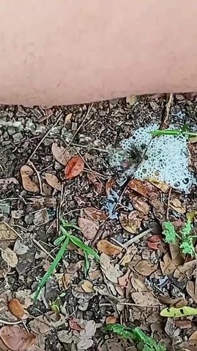 Master David pissing compilation, sleepy cock   Clip 1