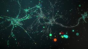 amigas param de trabalhar para trepar sexo no local - thalia senna - teh angel