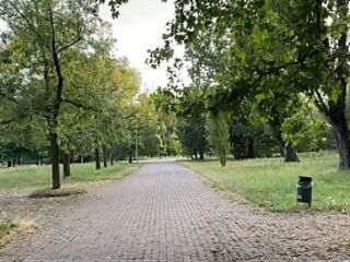 A pair in love is having coarse screwing in public in the park