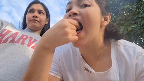 Devouring Teddy Bears - Gobbling Up Like Crazy
