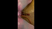 Sissy sexy lingerie cum in micro chastity