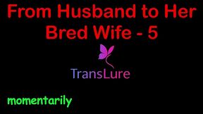 from husband to her bred wife – simulated pregnancy & full creampie surrender (taboo audio fantasy) - 5