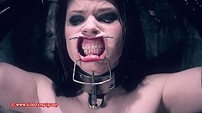 Bound Blonde Brunette Toyed