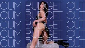 Cum Budget Cut