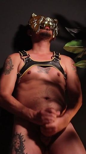 David Wilde Wank
