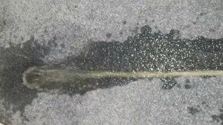 I love peeing in corners