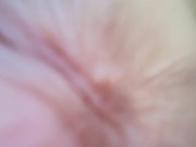 Shorty but goody of  Renis bomb-ass titties