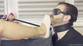 Blindfolded Foot Slave on a Leash - Smelly Socks Domination Part 1