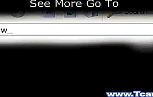 Beautiful Shemales Have a Wild Threesome