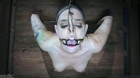 Abigail Dupree gets her pussy demolished by a dildo in BDSM action
