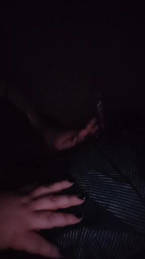 Dildo soaking fat pussy 😈💦