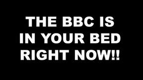 The BBC Bull is in Your Bed!