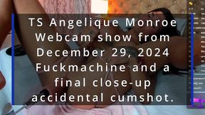 ts angelique monroe - webcam show from december 29, 2024