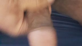 Australian Black Cock