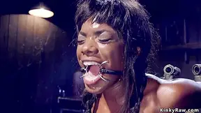 Ebony Is Made Drool