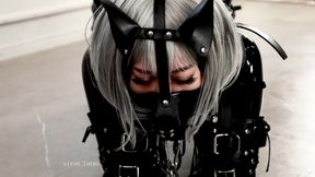 Rubber Puppy Is Connected To A Thick Leash For A Friendly Walk