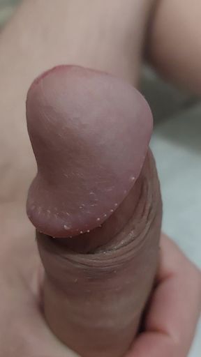 Large Acorn