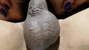 LA FIESTA