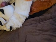 PAW FUCKER! @AngryBarks loves fucking his feet until he cums hard 💦 Bark Bark!