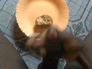 YUMMY😋😋BUSTING A HUGE CUM ON MY CAKE BEFORE EATING IT ALL