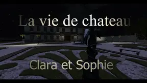 Two French Amateurs fuck in a cartoon castle