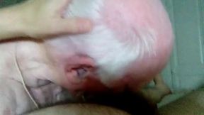 100 Year Old Grandpa Sucks Cock No. 3