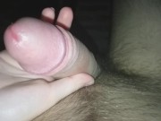 EL NOVIO PERDERÁ SU PROPIO MATRIMONIO