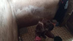 Now This Time in My Works I Used to Cool My Fat Dick