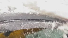 Driving and Honking in November