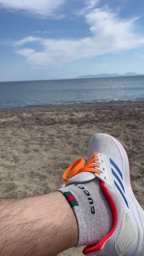 Sun. sand  sea  sock  shoe