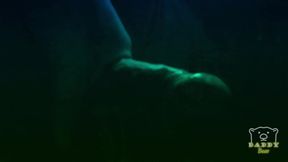 Dick with veins very close up