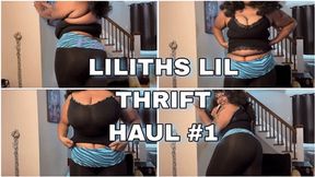 Lilith's Small Thrift Haul Number 1