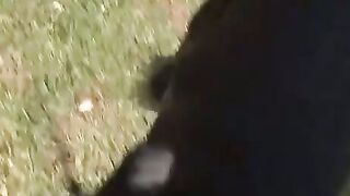 Blow Me Away 2 Babes, 1 Dildo, and a Whole Lot of Wet... WILDNESS!