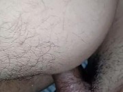 Un gordito pasivo nos visita