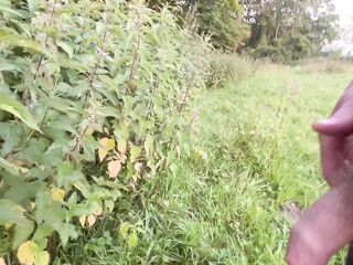 Morning pee those stinging nettles wanted me to pee on 'em