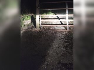 Strippin down at the gate