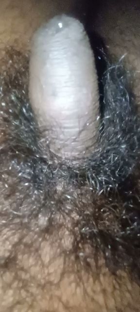 Hairy big dick jerking