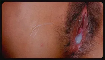 Yuzu Shiina pussy pounded and pussy creamed