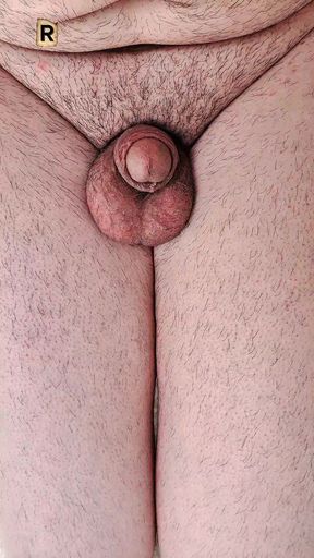My wet penis is urinating."