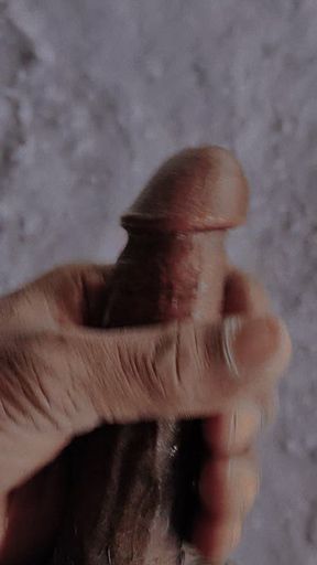 Sex  is  life