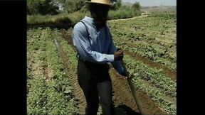 Homey in the Haystack, Part 1