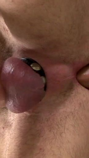 Paddy Obrian likes to have prison sex with Willelm