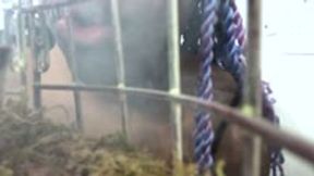 giantess - From the Cage: Helpless Under Her Reign POV, female domination, goddess worship 1080 smalller