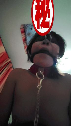 The Female Dog Wears a Nose Hook and Nipple Clamps for Female-on-top Sex.
