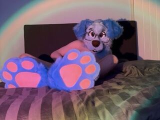 Do u like my paws?