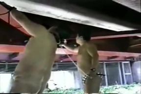 SM Outdoor [Rare]